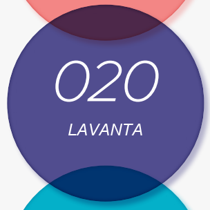 020 Lavanta
