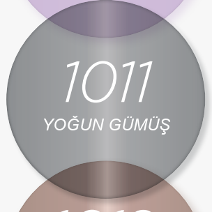 1011 Yoğun Gümüş