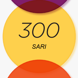 300 Sarı