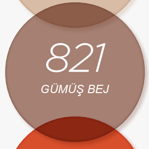 821 Gümüş Bej